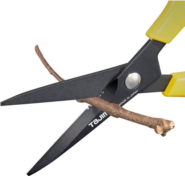 Image du produit Tajima Ciseaux Fluoro 175mm (17.50 cm)