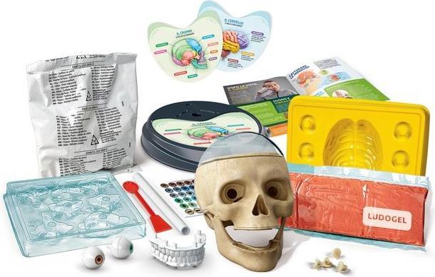 Actual product image Clementoni Anatomia fuori di testa I