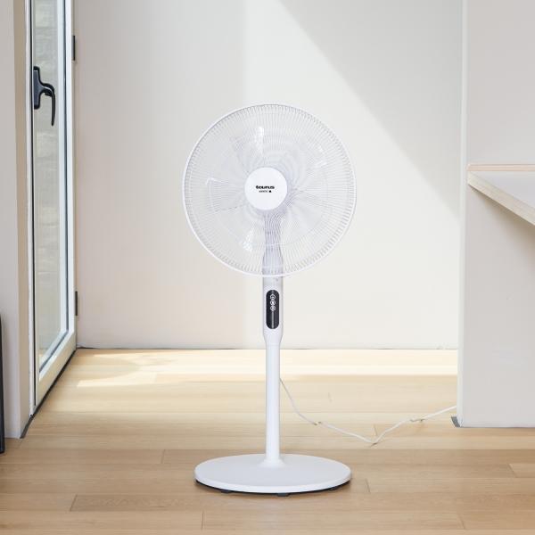 Actual product image Taurus Ice Brise (49 dB)