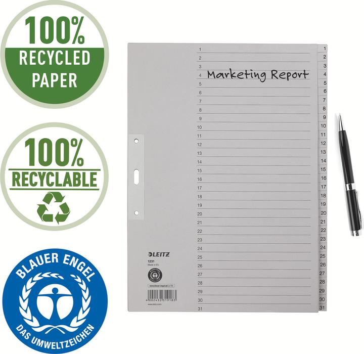 Image du produit Leitz Répertoire papier gris