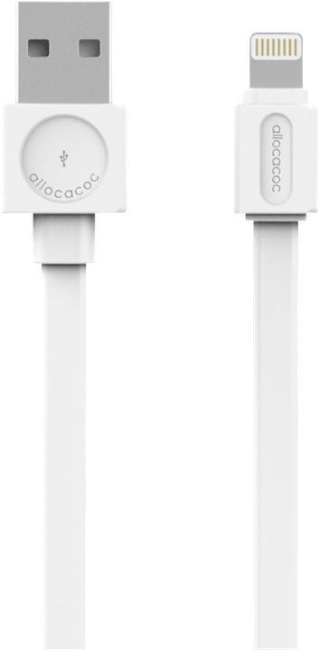 Image du produit Allocacoc USB - Foudre (1.50 m, USB 2.0)