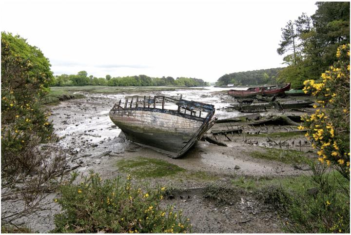 Immagine prodotto Cokin Filtro A121F Corso 2 ND 8 (67 mm, Filtri grigi)