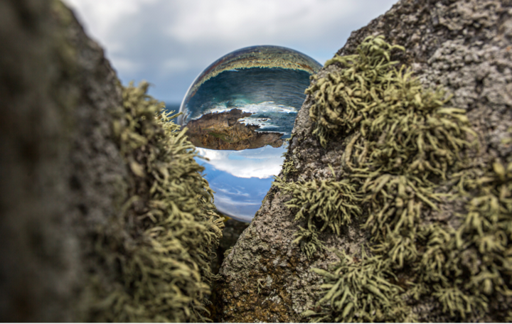 Immagine prodotto Rollei Lensball 110mm (110 mm, 110 mm)
