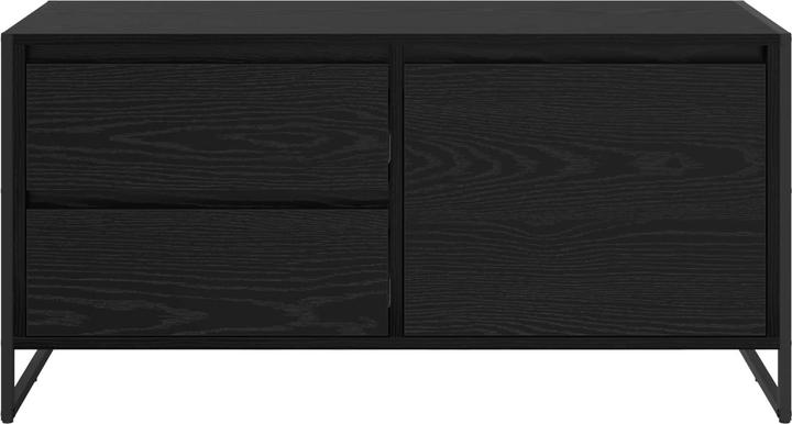 Actual product image vidaXL TV-Schränk (36 x 100 x 49.50 cm)