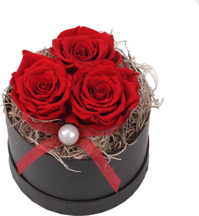 Floramall Infinity Rose Box Red Small (Infinity Flowers, 1x)