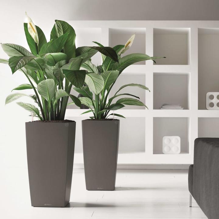 Actual product image Lechuza Cubico (29.50 x 29.50 x 56.50 cm)