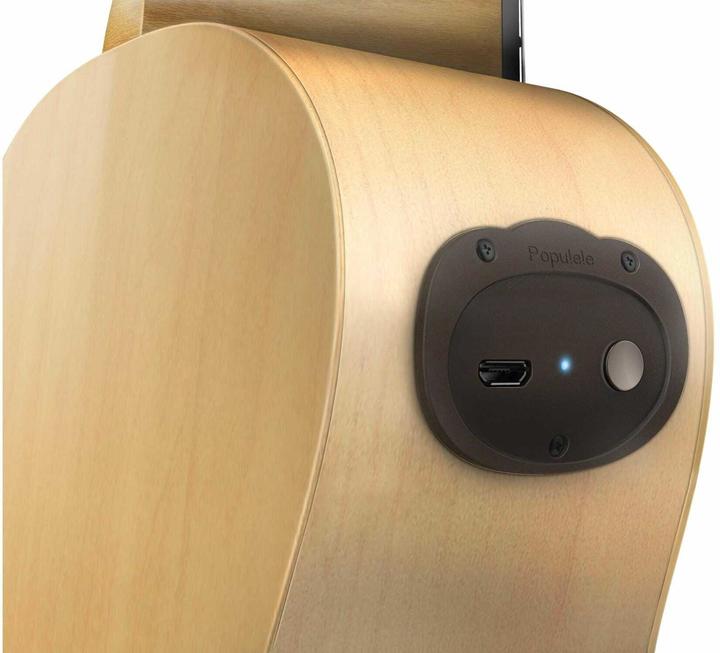 Produktbild Popu Music Populele U1 (Akustisch)