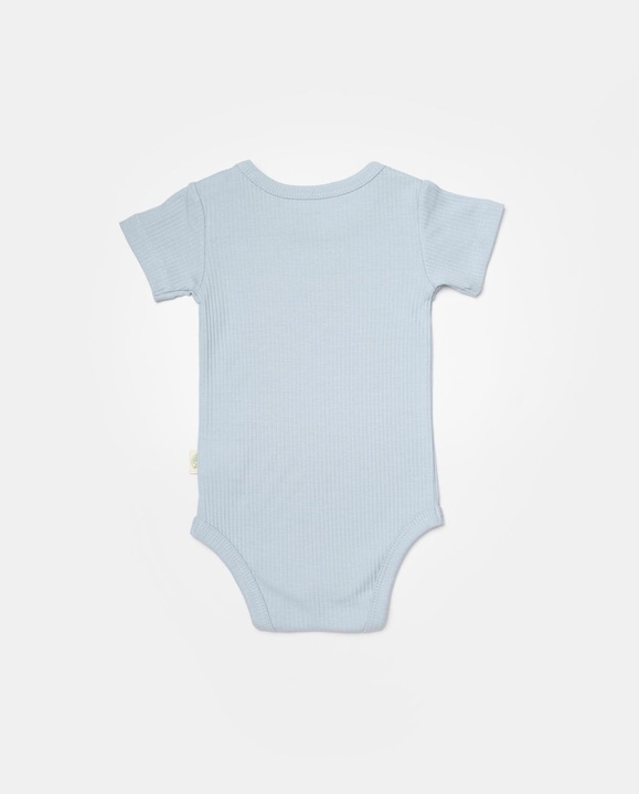 Actual product image BabyCosy 2 Pcs short sleeved Body (74)