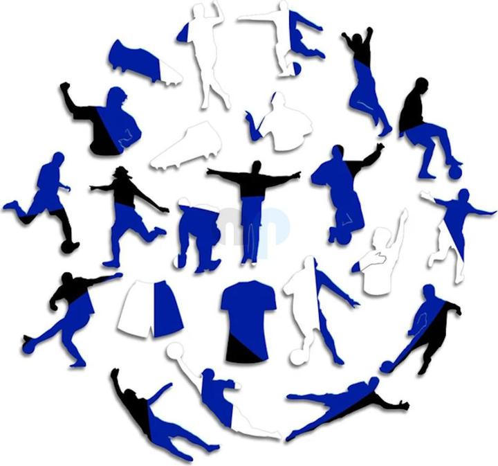 Actual product image Iconic FC Inter Milan - Logo - Wooden Puzzle Size L (500 pieces) (500 pieces)