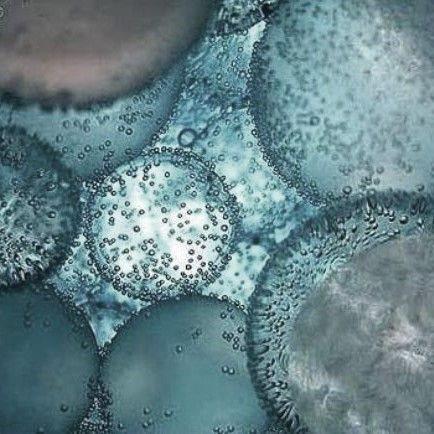 Produktbild Biotherm Homme - T-Pur Anti-Oil & Shine Scrub-In-Gel (Reinigungspeeling, 125 ml)