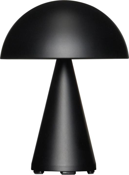 Noir mat
