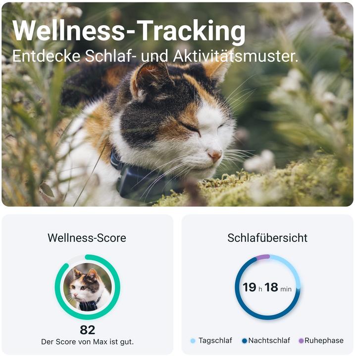 Produktbild Tractive CAT Mini GPS Tracker für Katzen (Katze, Allgemein)