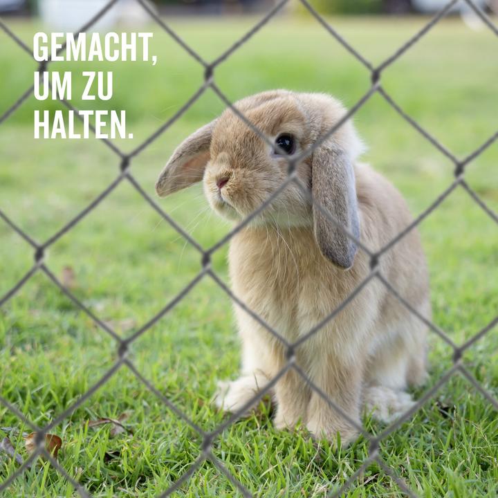 Produktbild Alberts Maschendrahtgeflecht 25m