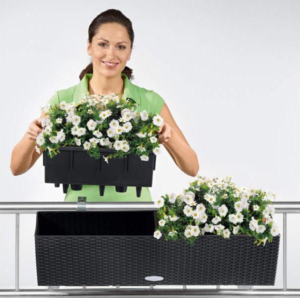 Actual product image Lechuza Balconera Cottage (19 cm)
