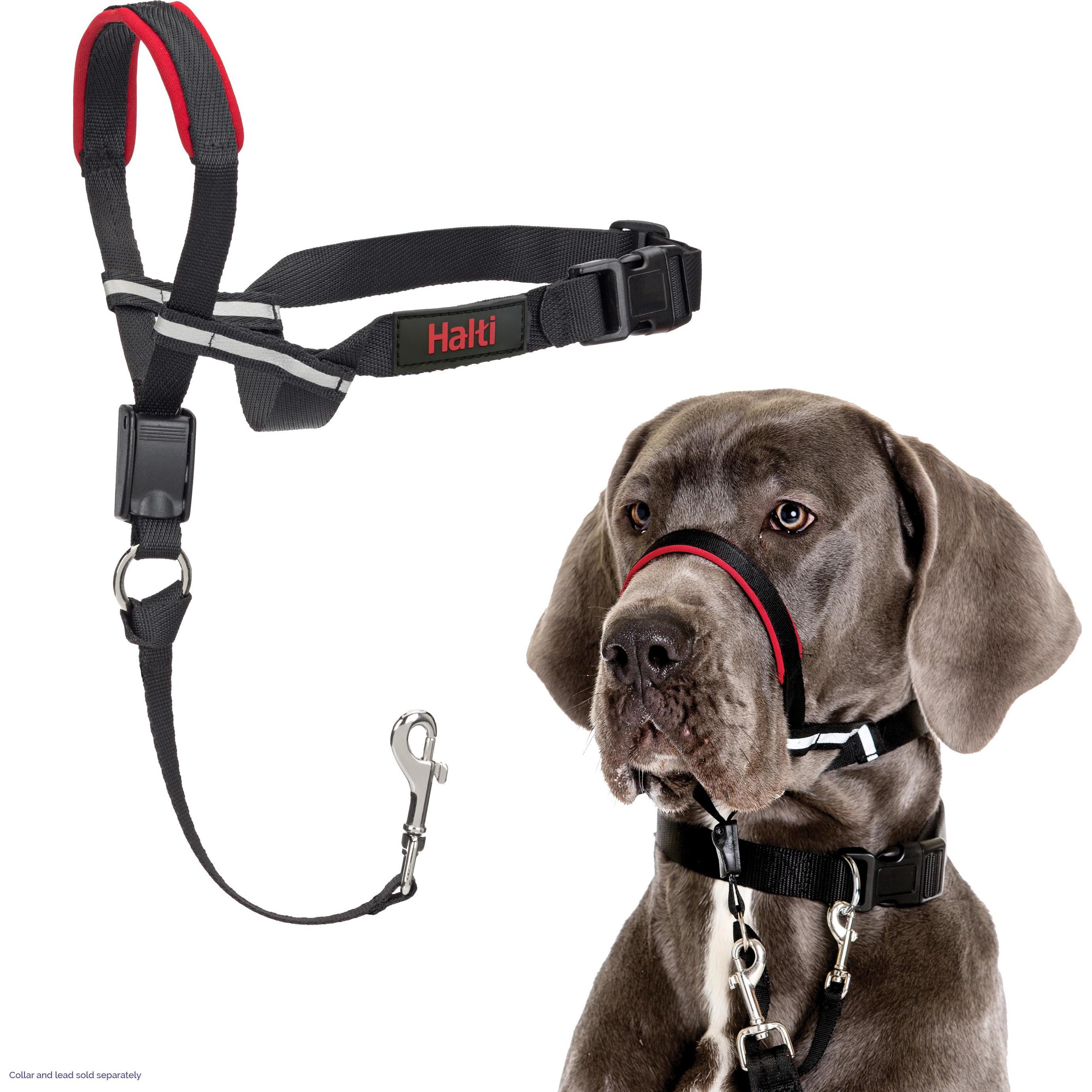 Comparer les prix de Company of Animals Halti Optifit Kopfgeschirr (L, Chien), Collier + laisse
