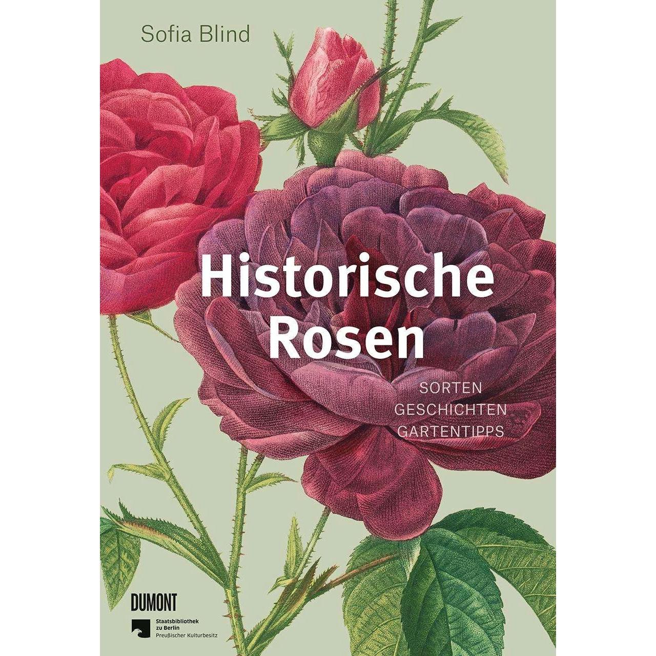 Historische Rosen, Ratgeber von Sofia Blind, Staatsbibliothek zu Berlin