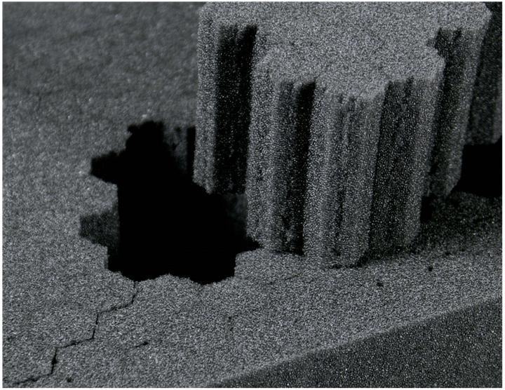 Actual product image Vanguard Supreme 53F hard case (Photo case)