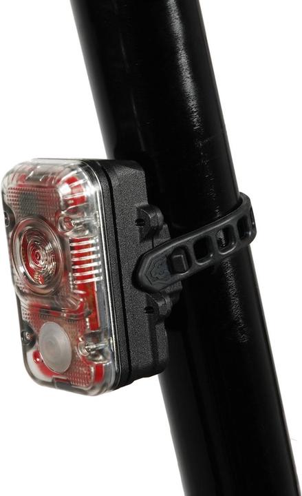 Produktbild Lupine Max (40 lm)