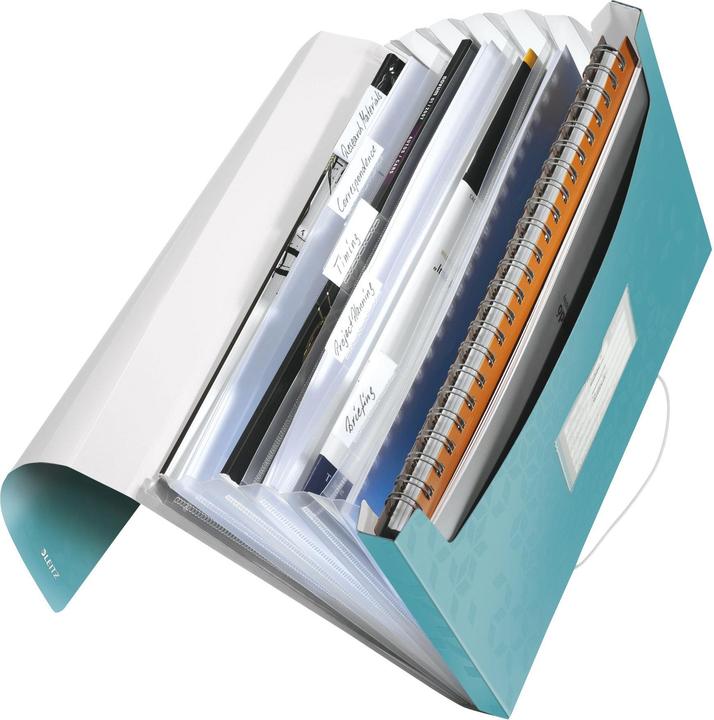 Immagine prodotto Leitz Cartella del progetto Wow (A4, 1x)