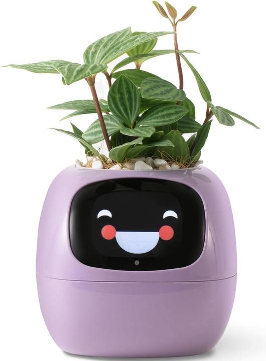 Image du produit Plantsio Ivy Smart Planter (5.50 x 9.60 cm)