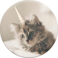 Produktbild PopSockets Unicat