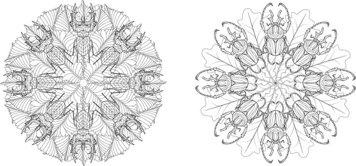 Actual product image Tier-Mandalas