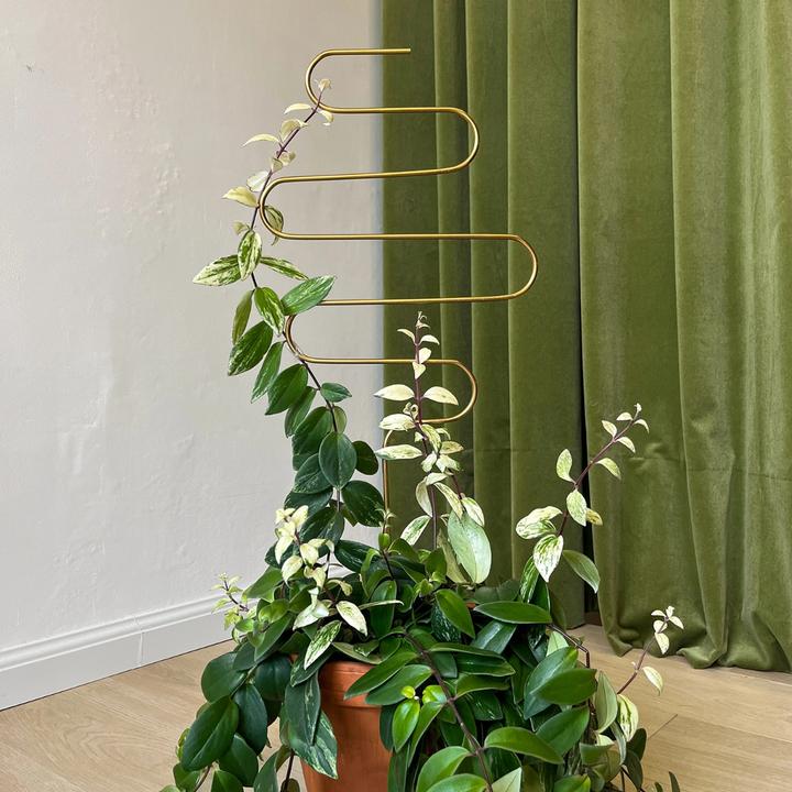 Produktbild Botanopia Rankhilfe Squiggle Gold (100 cm)