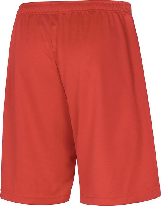Actual product image Mizuno Trad Shukyu Short (M)