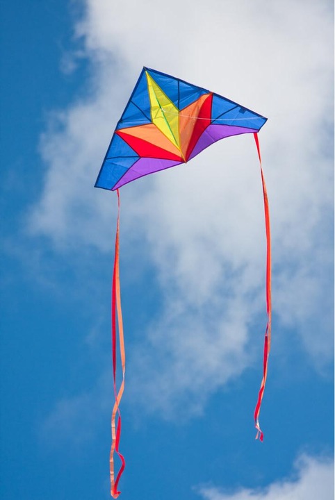 Actual product image Invento Dragon Delta Star