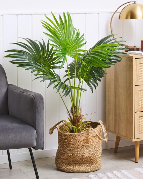 Immagine prodotto Beliani Fan Palm (100 cm)