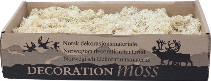 Cream-white, Nature, White