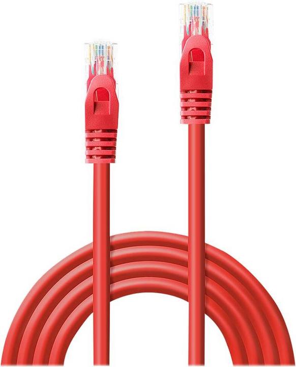 Image du produit Lindy Câble de réseau (U/UTP, CAT6, 0.30 m)
