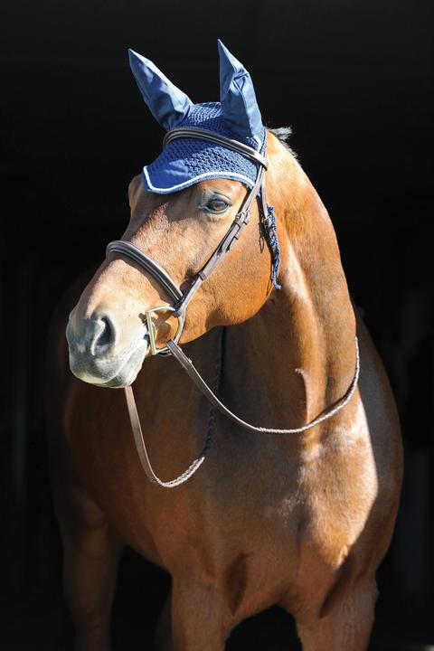 Actual product image Roma UTWB217 P