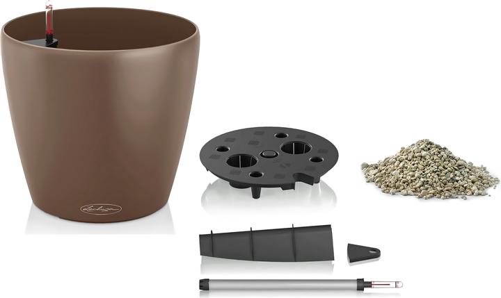 Actual product image Lechuza Classico Color