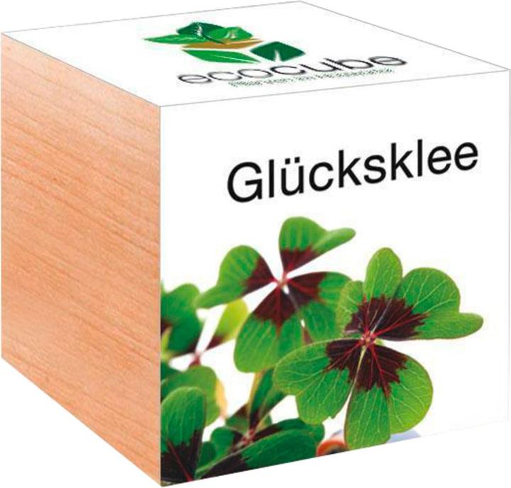 Image du produit Feel Green Ecocube (Graines de plantes)