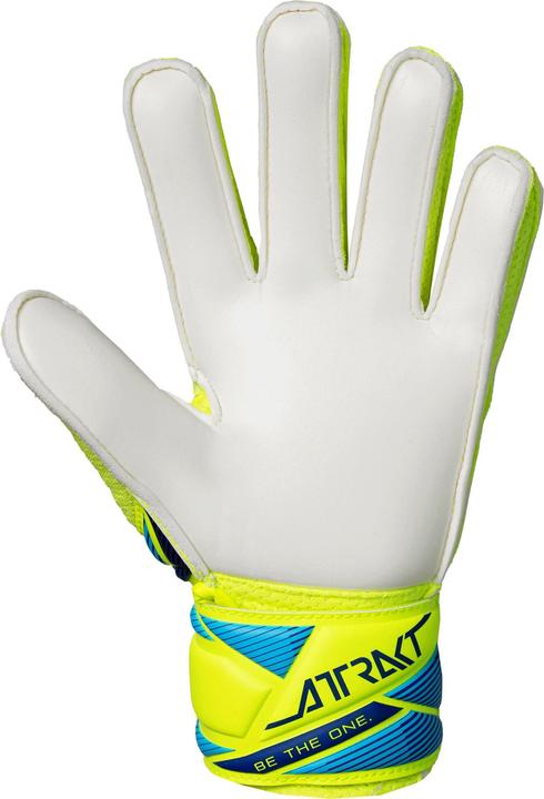 Image du produit Reusch Attrakt Solid (6)
