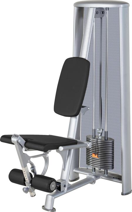 Sport-Thieme Beinstreckermaschine OV