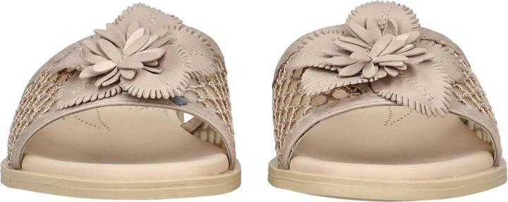 Produktbild Nero Giardini Pantoletten (41)