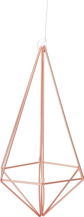 Actual product image Umbra Prism