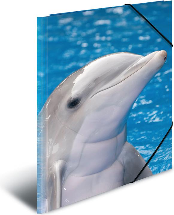 Immagine prodotto HERMA Cartella (A4, 1 x)