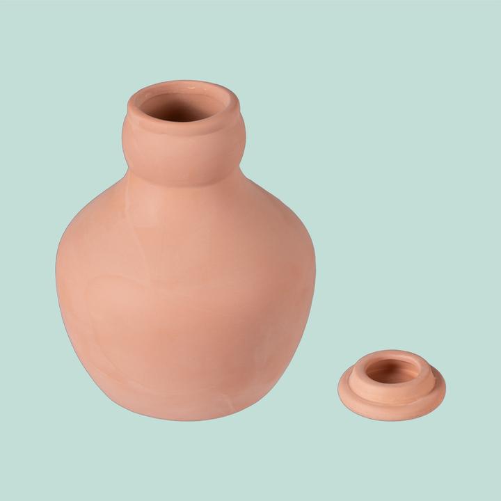 Productafbeelding Relaxdays 3x Ollas (Irrigatieballen)