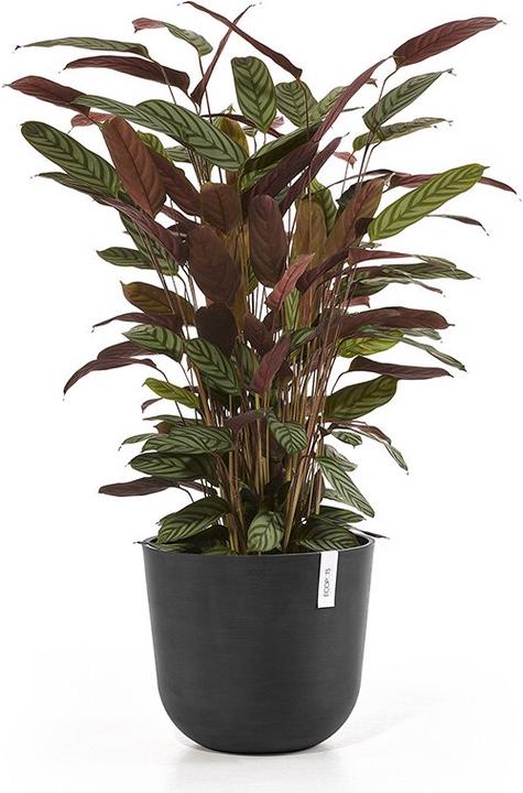 Produktbild Ecopots Oslo