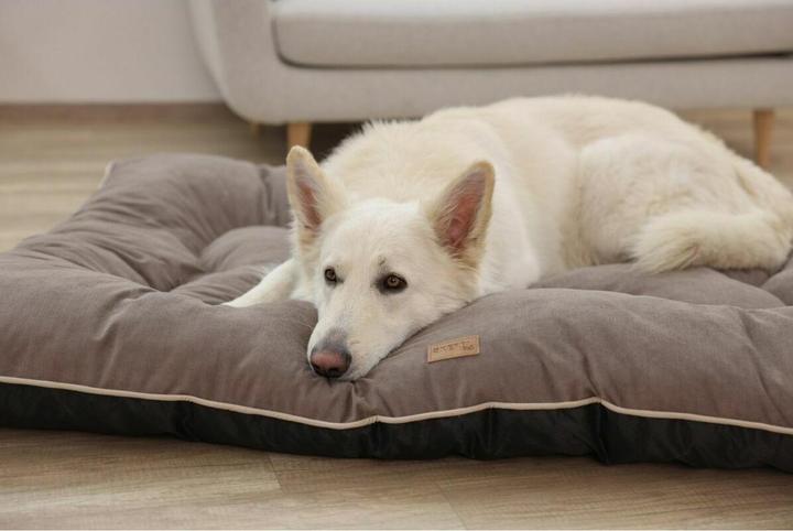 Produktbild Kerbl Liegekissen Benno (Hund)