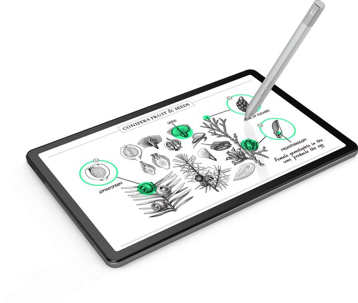 Image du produit Lenovo Tab M10 Plus Gen 3 (10.60", 64 Go, Storm Grey)