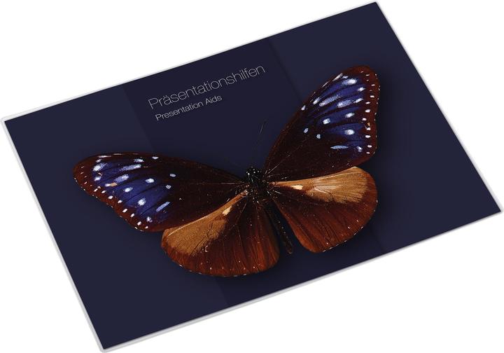 Produktbild Magnetoplan MAGNETOFIX - Sichttasche