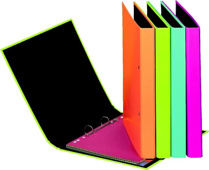 Actual product image Pagna TREND - Ring binders (A4, 23 mm, 1 pcs.)