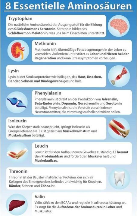 Nährwerte und Zutaten Solgar Amino Lysin Pflanzliche Kapseln (50 Stk) (50 Stück, Kapseln, 160 g)