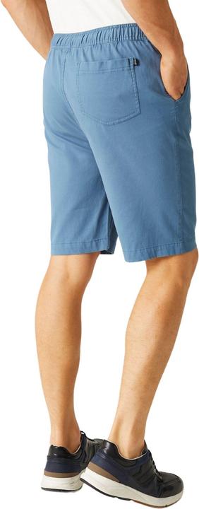 Actual product image Regatta Mens Aldan Chino Shorts (30)