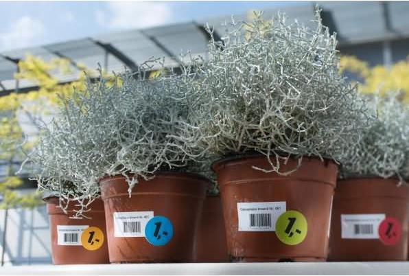 Immagine prodotto Herma Etichette resistenti alle intemperie A4 rimovibili