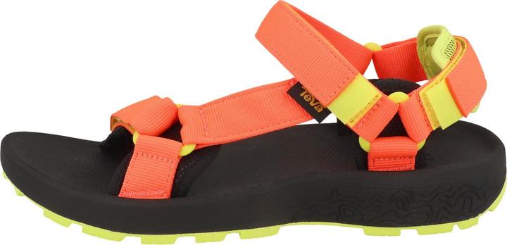 Neon Coral, Orange